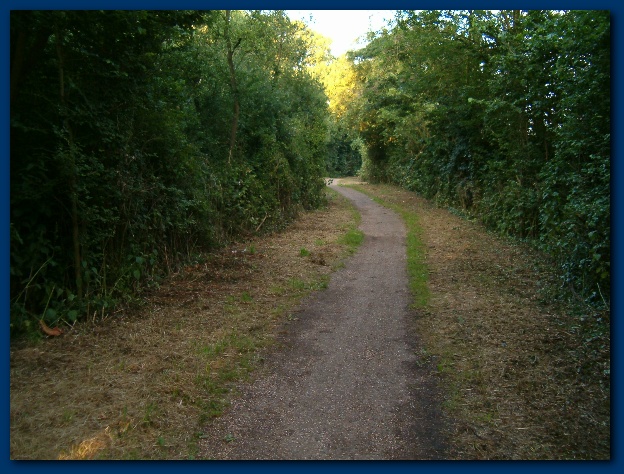 600x449 pixels (157K)